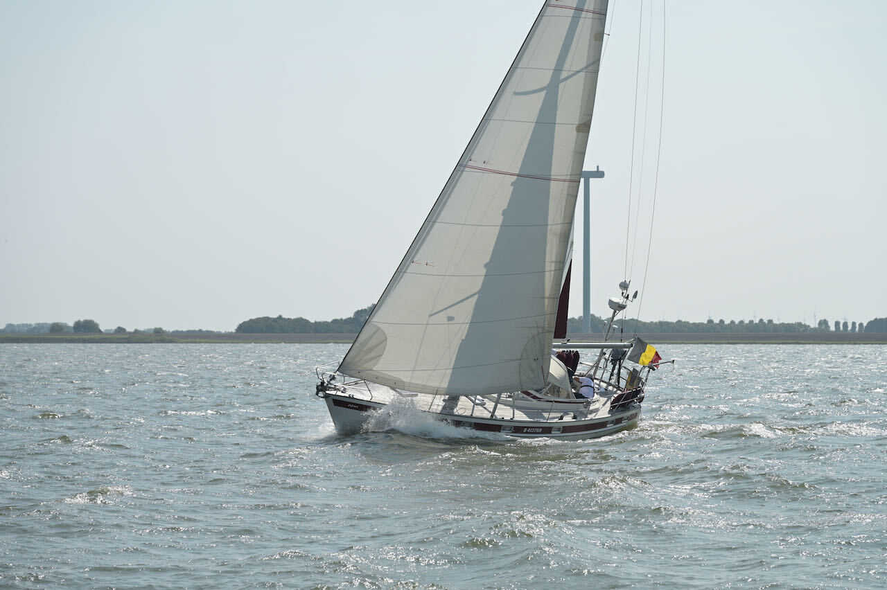 zalmtrofee-2024-56-van-125-2